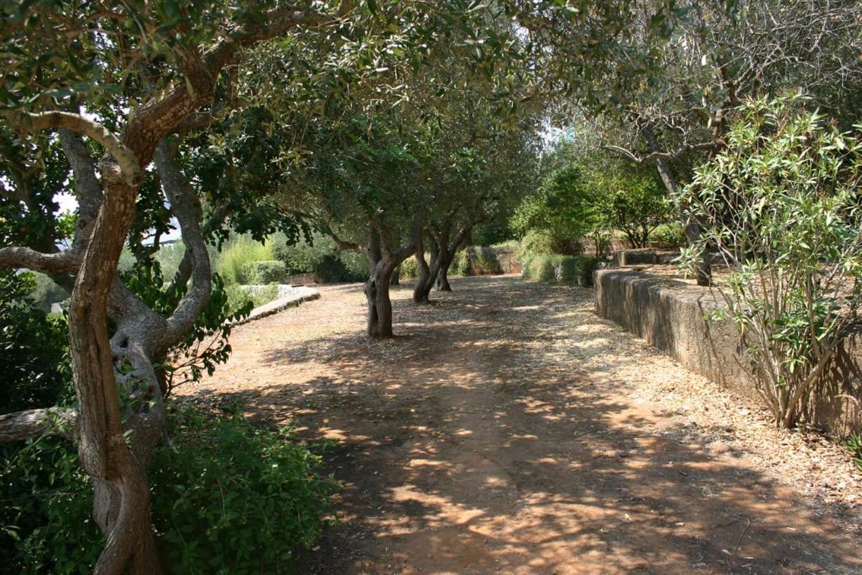 Appartamento In Villa Fortunata Terra Marina Serra Eksteriør billede